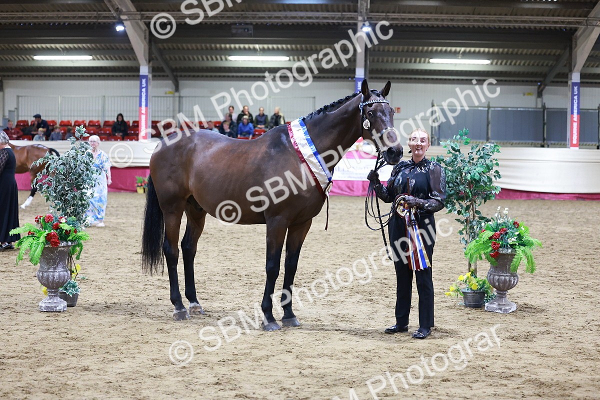 SBM_20642 - Class I - Ridden Pony Champ