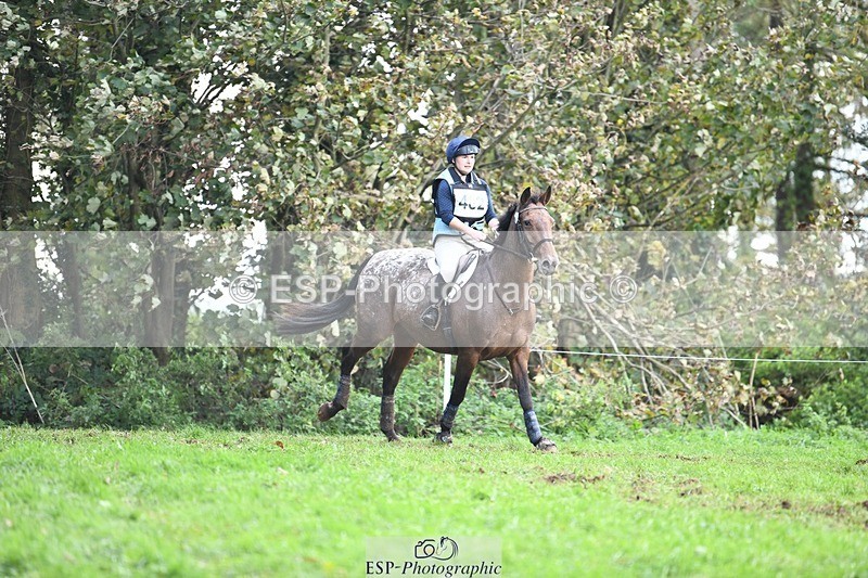 231021-145956-19831 - 482-ODDSPOT.VITAL.ELEMENT-Danielle.Davies-SC+XC