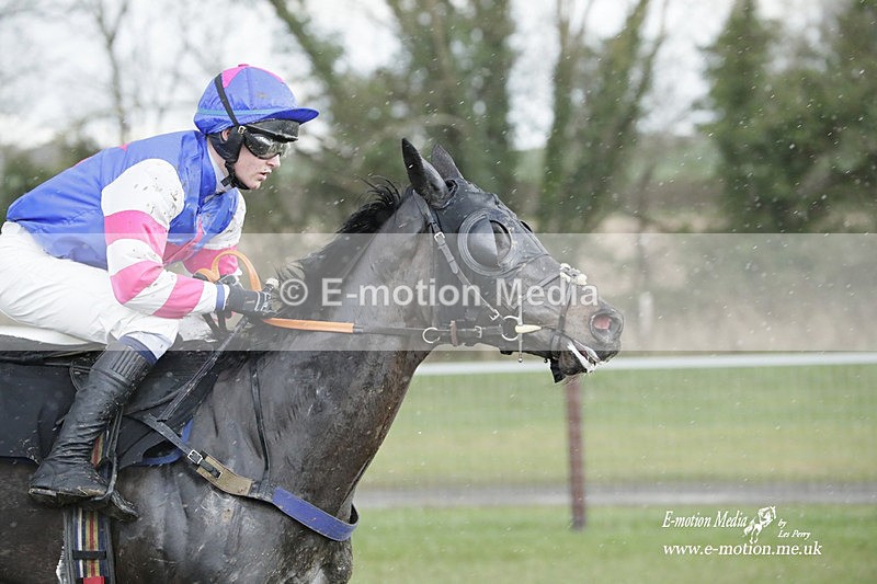 PtP 180323 1167 - Shelfield Park Races with Croome & West Warwickshire Hunt  18/03/23