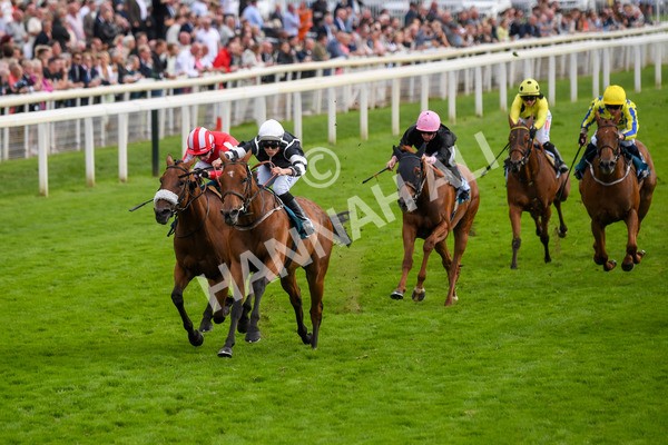 250823-Race 5-Reach-0859 - Race 5 4.10pm Assured Data Protection EBF Fillies' Handicap