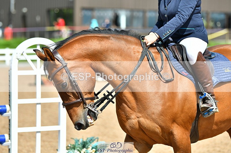 230812A-134558-09408 - Cls 28 95cm Nat Am Qualifier