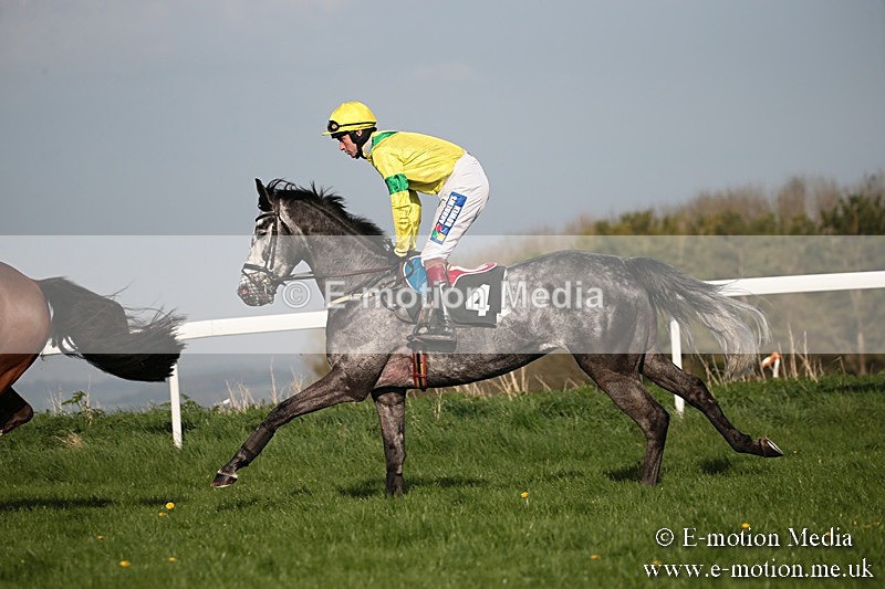 PtP 210418 599 - South & West Wilts Point-to-Point Larkhill 21/04/18