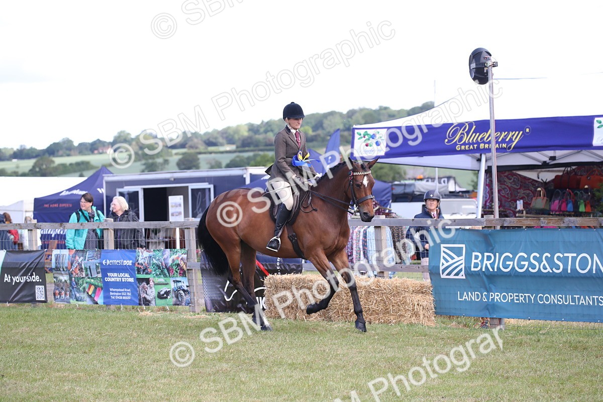 SBM_13285 - Class 95-96 - LIHS BSHA Rising Star Hack Riding Horse
