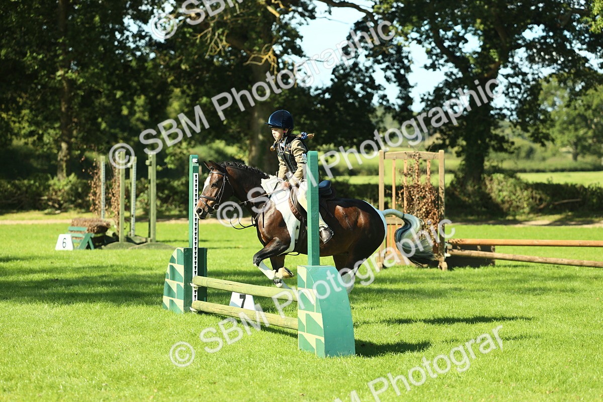 SBM_37534 - S29 - Novice & Newcomers Working Hunter Pony