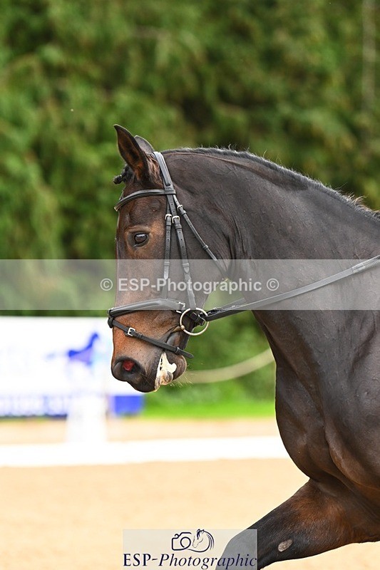 231020-155340-11988 - 217-CEFNPANT.IOLO-Katie.Thomas-DR