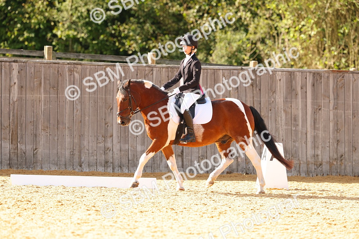 SBM_48423 - D6 - Small Tour Championship - Intro C