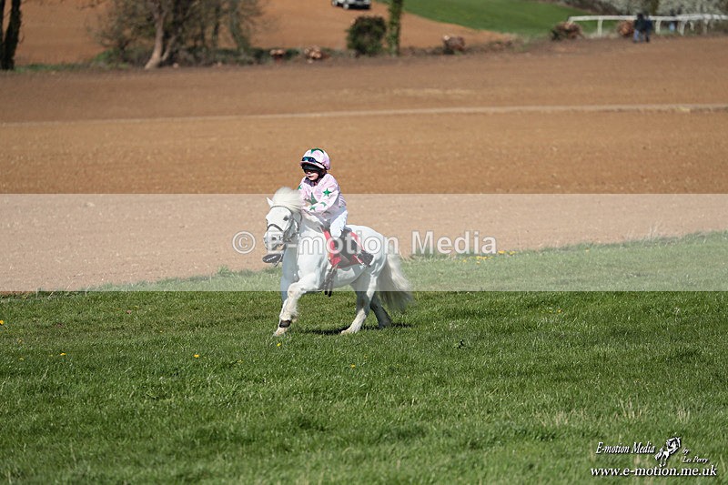 Shet 060426 145 - Shetland Pony Racing Paxford Races Easter Mon 06/04/26
