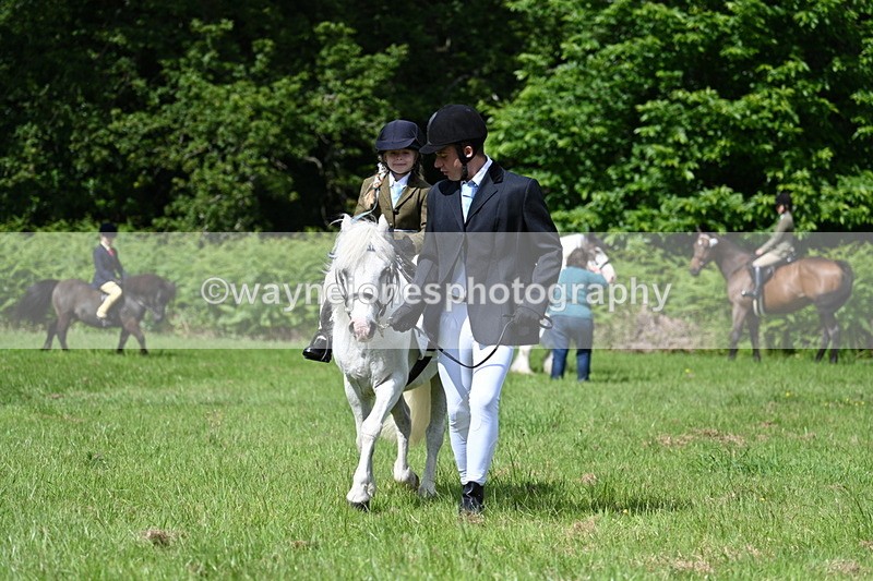 WJ7_1210 - Class 11 Condition & Turnout