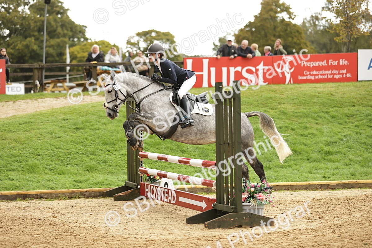 SBM_33077 - J38 - Senior Horse & Pony 80cm Championship