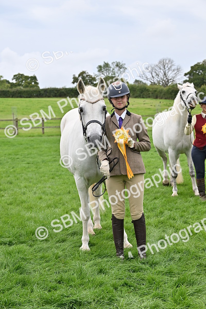 SBM_63328 - S49 - Mountain & Moorland In Hand Large Breeds