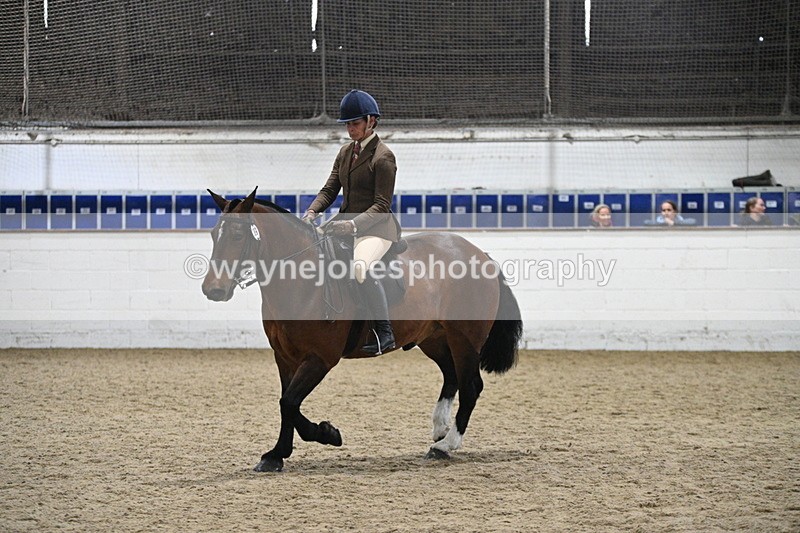 WJ7_3987 - Class 17 Ridden Cob
