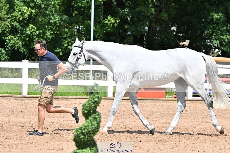 240718A-105318-01819 - Trot Up 1pm to 2pm