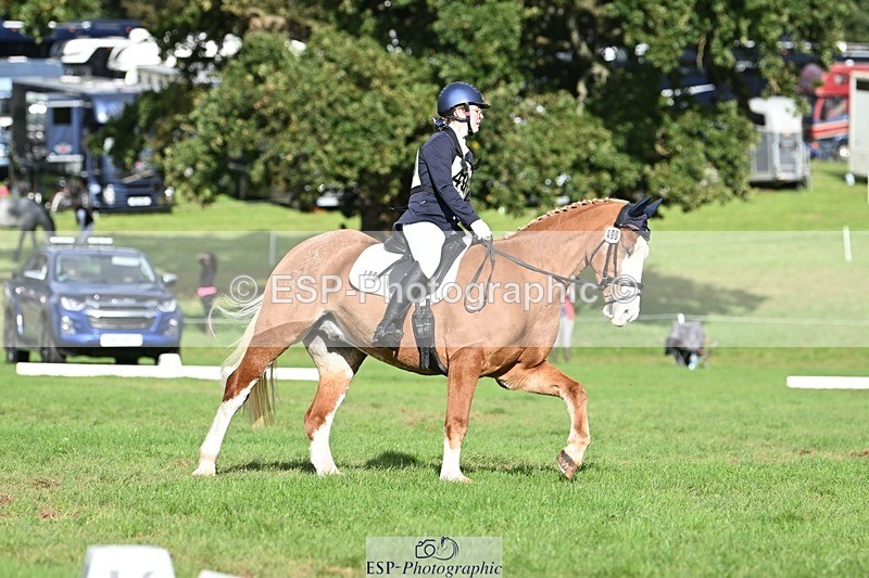 231020-143831-10698 - 499-GORFELYN.PETER.THE.GREAT-Charlotte.Bellamy-DR