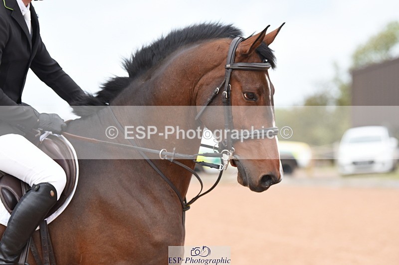 230927A-220744-00247 - Cls 4 Newcomers & Open