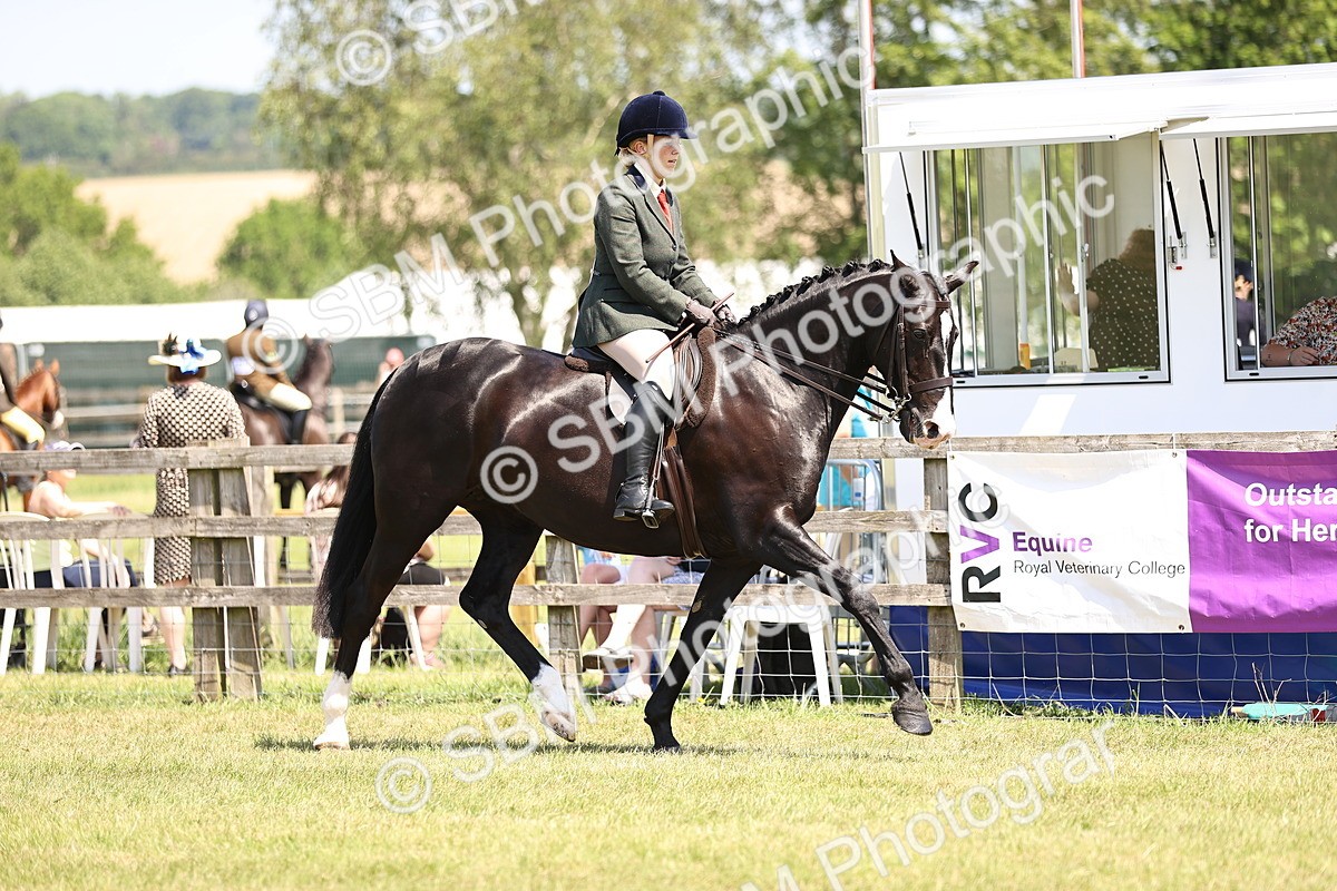 SBM_15030 - Class 79-80 - LIHS BSHA Rising Star Ridden Hunter