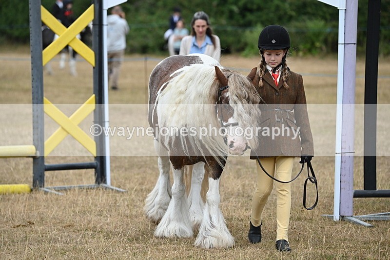 WJ6_8038 - Class 10 Coloured in Hand