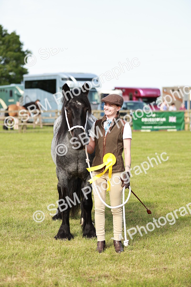 SBM_00769 - Class 14-23 - Mountain & Moorland In Hand Non Welsh