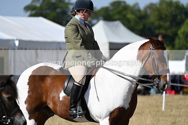 WJ7_2886 - Class 8 Ridden Tack & Turnout