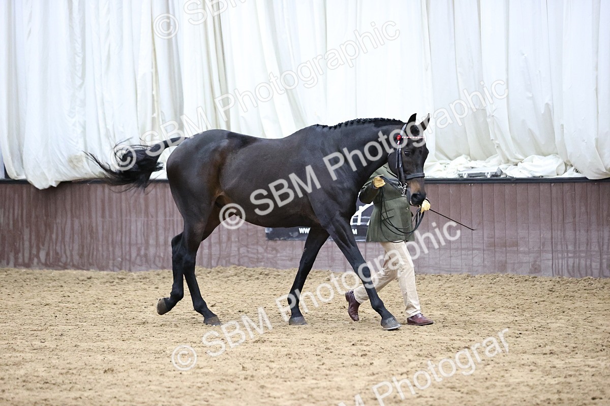 SBM_5805 - Class 4 - ROR Open In Hand