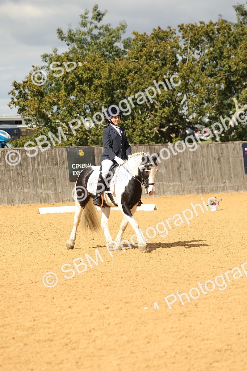 SBM_41901 - D21 - Junior Championship - Intro A