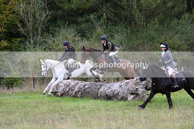 WJ7_3900 - Camera 1 Line 1