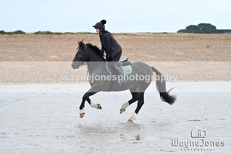 WJ7_8835 - Hayling Island Beach Shoot 22-09-24