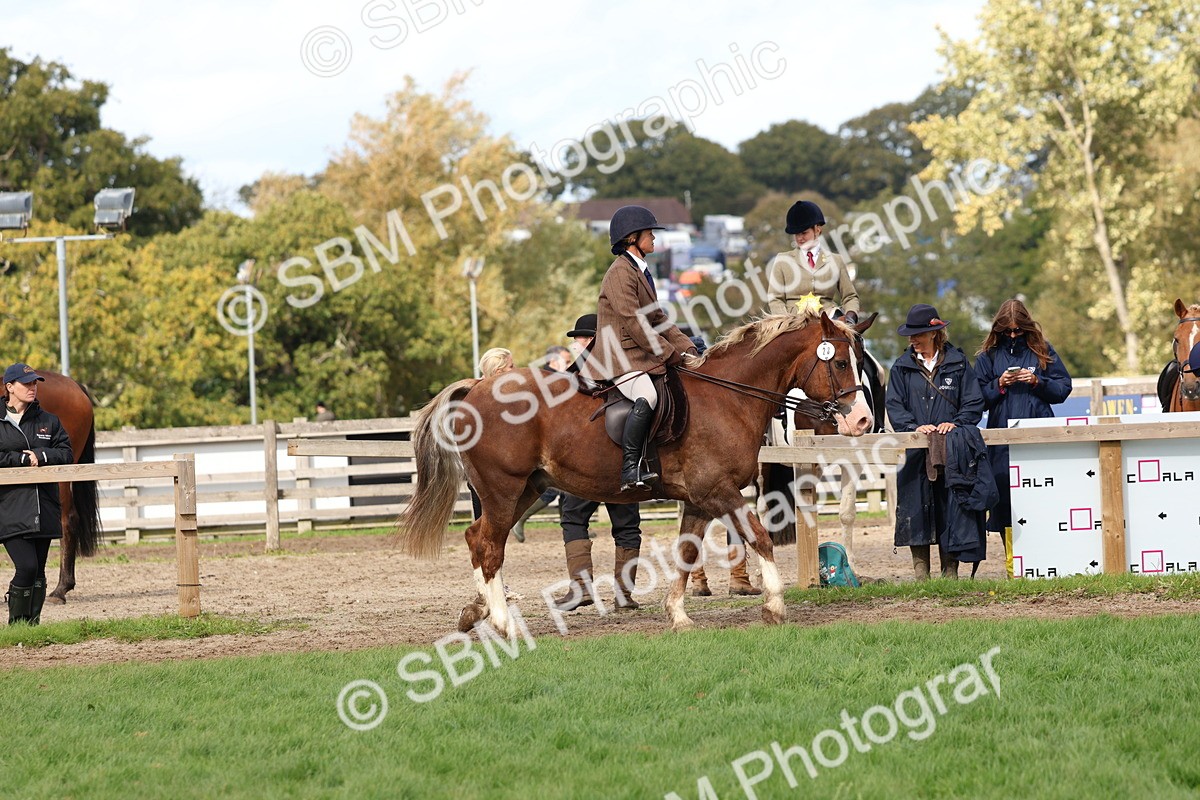 SBM_47594 - S28 - Veteran Ridden