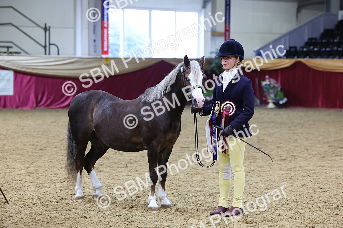 SBM_19818 - Class 901 - Supreme Final - IH Diamond