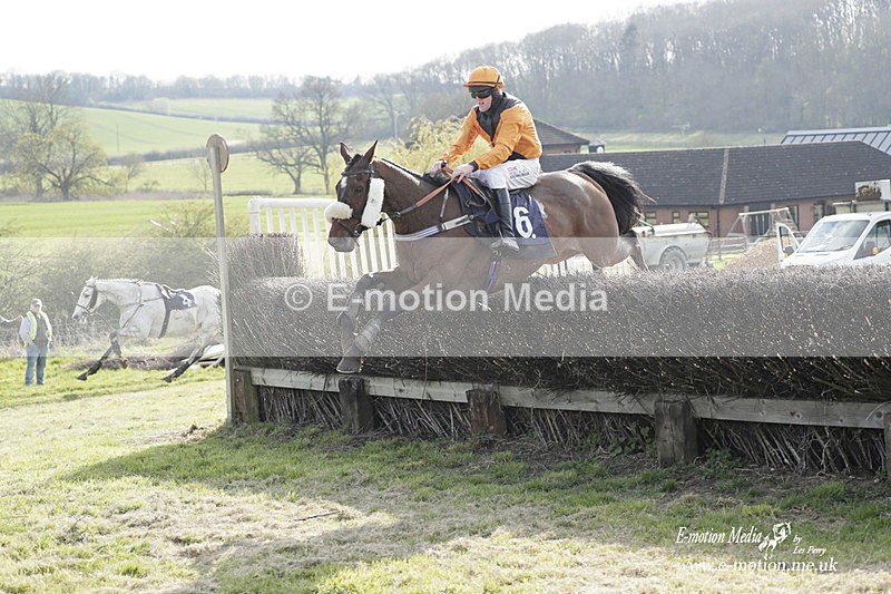 PtP 080423 838 - Dingley Races The Woodland Pytchley Hunt PtP 08/04/23