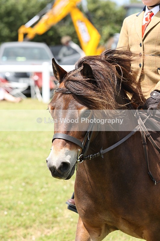 JPP_1932 - Class 18: Tiny Tots Working Hunter Pony