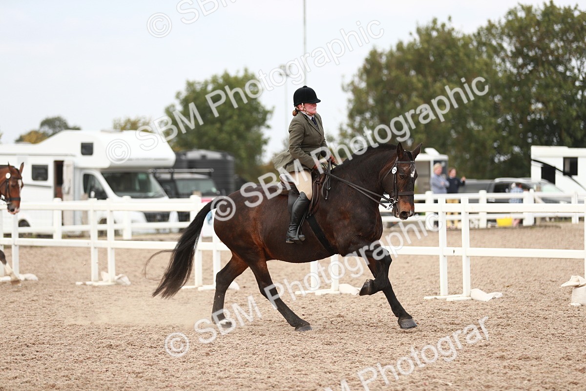 SBM_16685 - Class 214 Ridden Cob