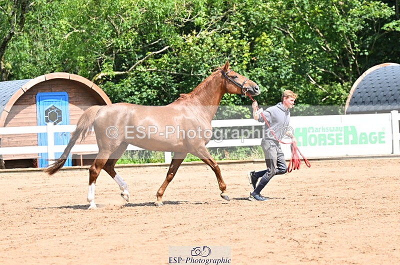 240718A-105241-01024 - Trot Up 11am to 12pm