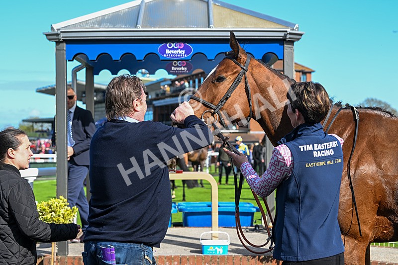 240425-Race 6-Alfie Boy-1729 - Race 6