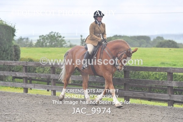 JAC_9974 - CLASS 3 Intermediate Working Hunter (0.70m - 0.85m)