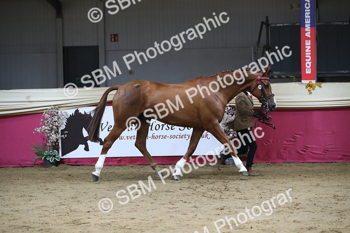 SBM_04960 - Class 8R- Regional -IH Veteran
