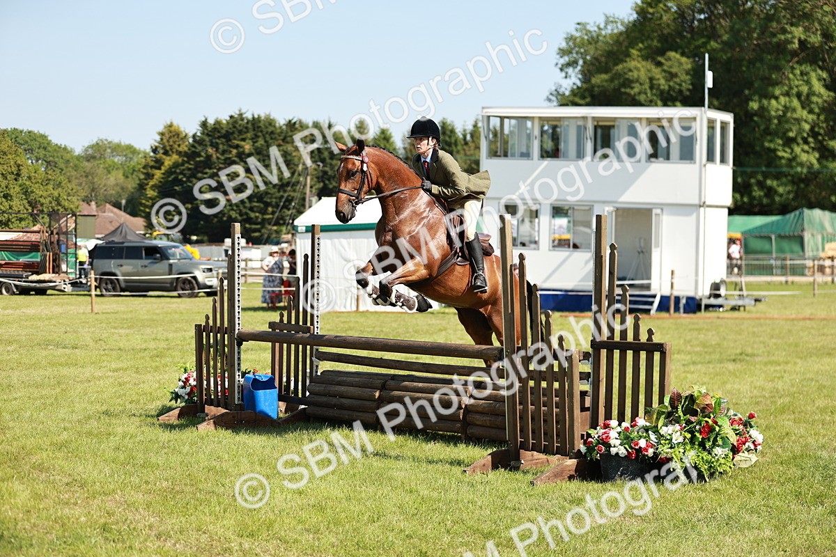 SBM_18826 - Class 114 - RIHS & SEIB Open Working Show Horse