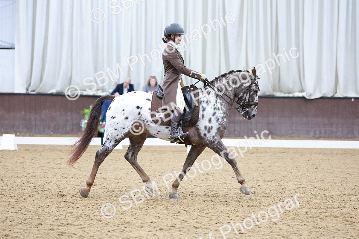 SBM_021346 - Class 14 - FEI Grand Prix - 17.40-18.34