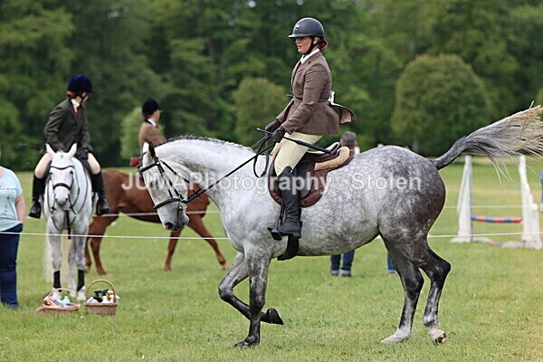 IMG_2835 - Working Hunter