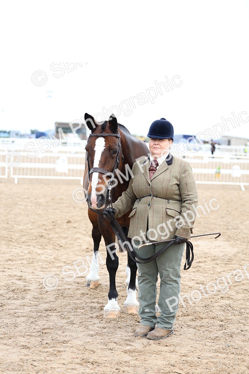 SBM_01477 - Class 17 - Prettiest Mare