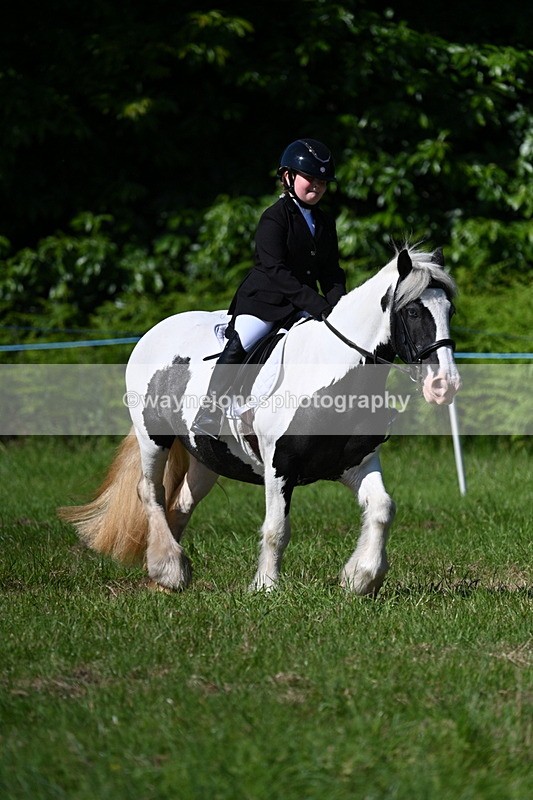 WJ7_0538 - Class 8 First Rally Pony
