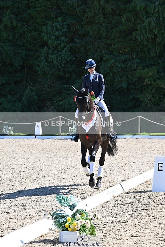 240811-153522-06682 - Adv Medium Gold