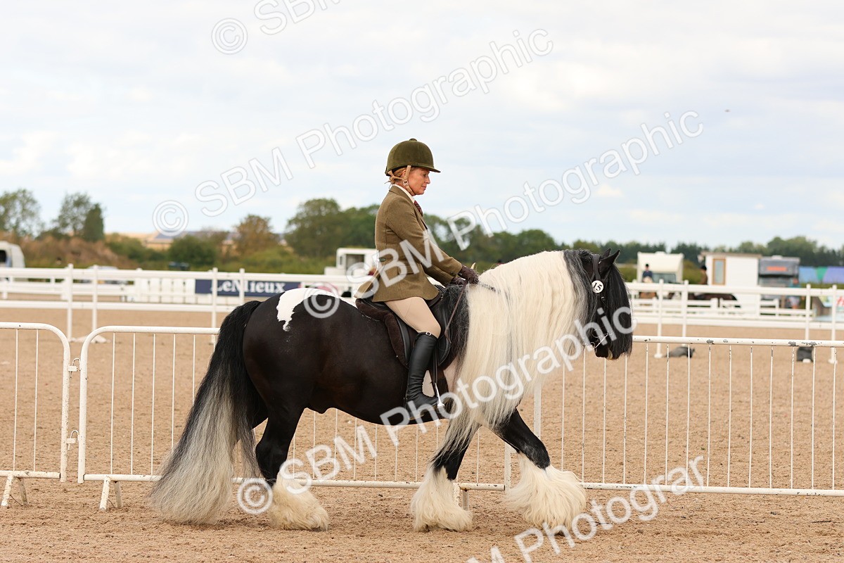 SBM_15640 - Class 215 - Ridden Traditional - Native Cobs