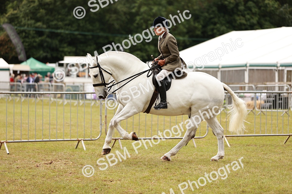 SBM_13016 - Class 85-87 - RIHS Cobs