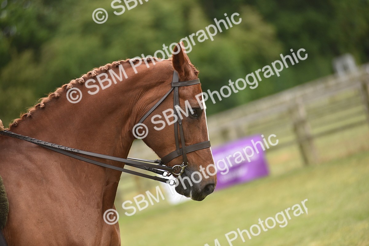 SBM_18182 - Class 122-123 - LIHS BHSA Raising Star Style and Performance Series