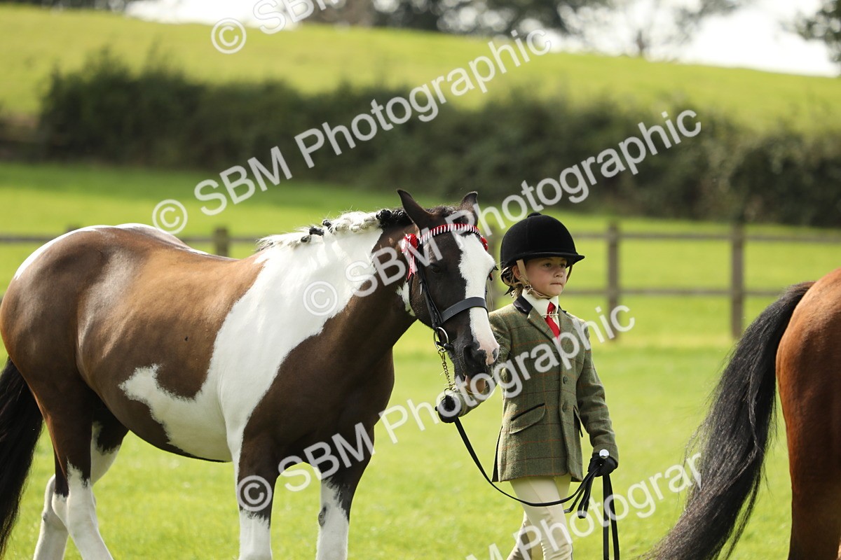 SBM_67698 - S39 - Junior Handler 8  Years & Under