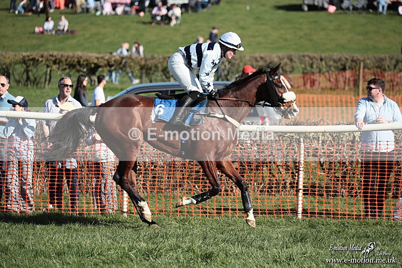 PtP 210326 631 - VWH Cirencester Races 21/03/26