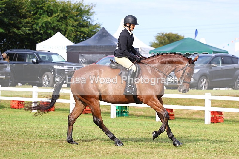 3E7A8030 - Class 2: Rising Star Large Hack/Riding Horse