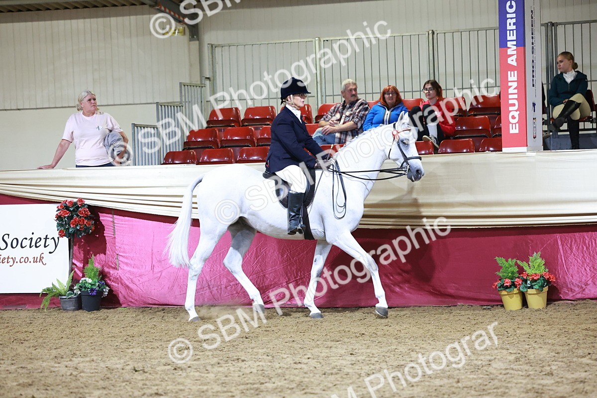 SBM_21134 - class Q - Ridden Horse Champ