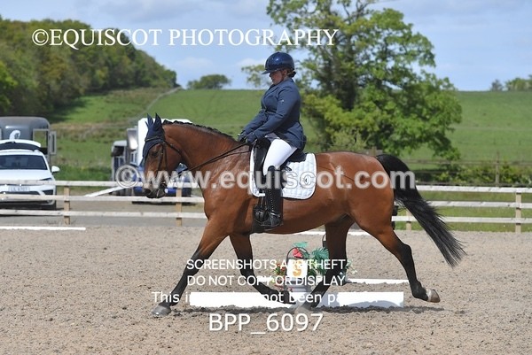 BPP_6097 - 24 L HAMILTON