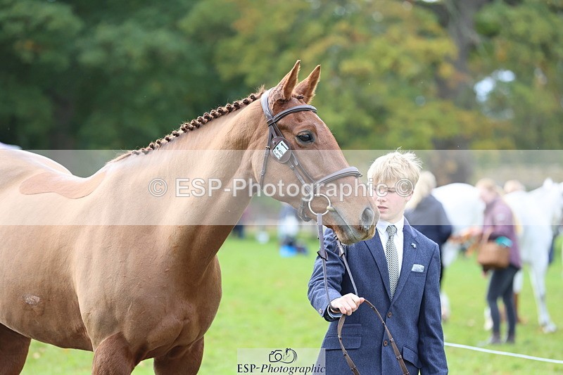251026A-114626-25675 - G-561-Jack.Jones-Lee